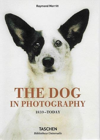 Merritt, The dog in photography 1839-today.