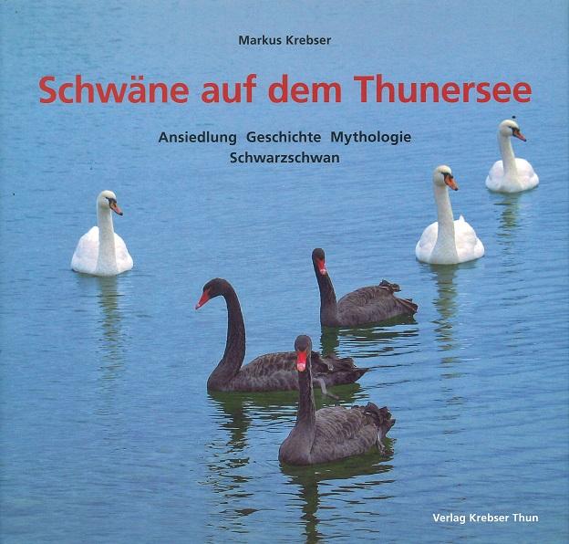 Krebser, Schwäne auf dem Thunersee.