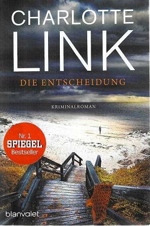 Link, Die Entscheidung.
